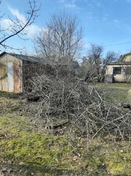 Aiajäätmete äravedu Tallinnas - kaubik ja kraana töös
